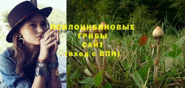 круглые Алзамай