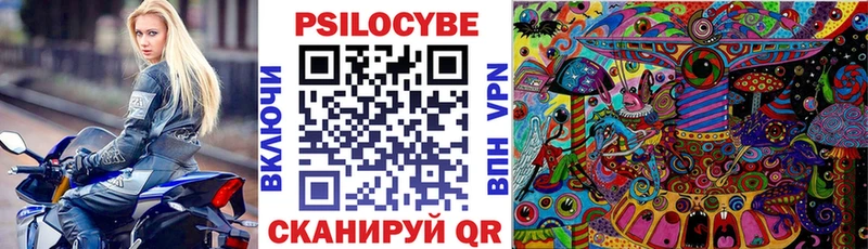 Галлюциногенные грибы Psilocybine cubensis  Спасск 